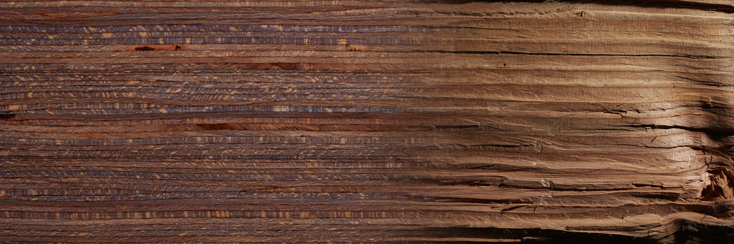 rayfleck-banner